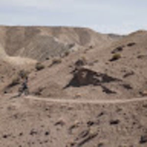 Meet your Posher, Janina